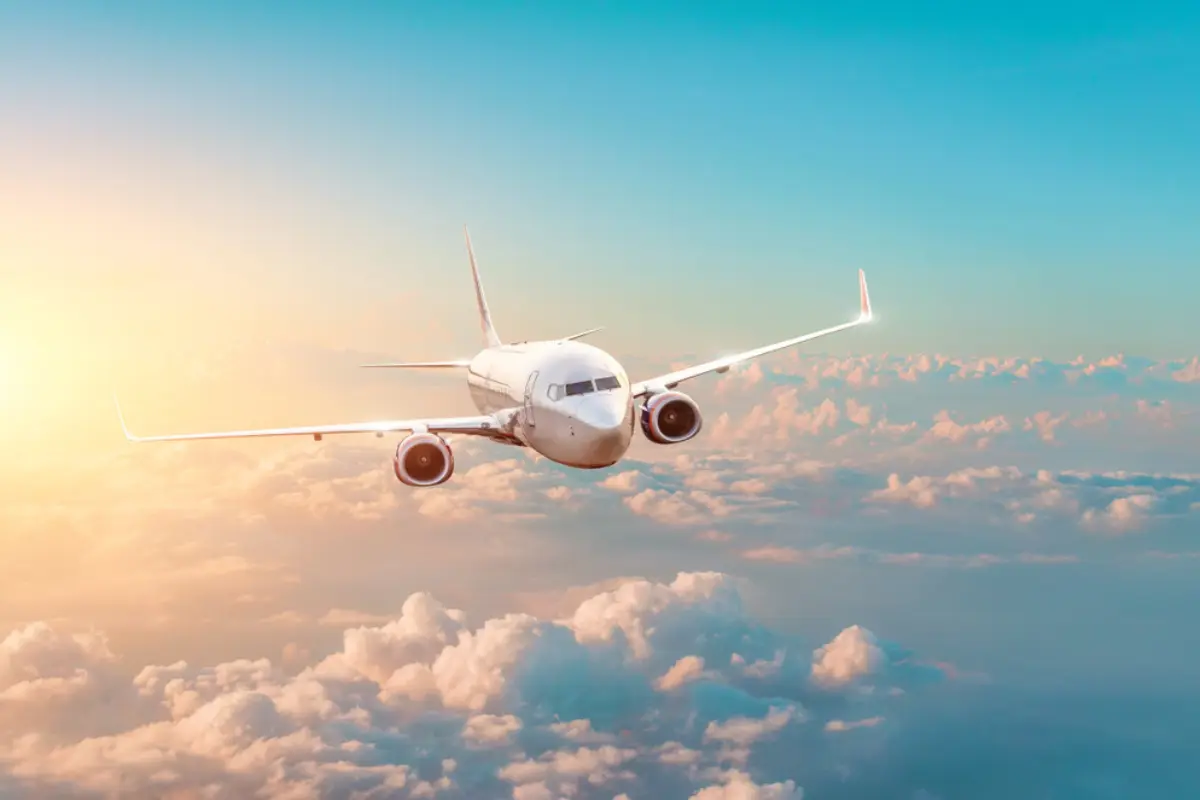 american airlines flight cancellation fee